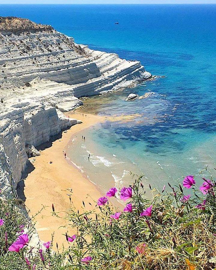 Anemone Della Scala Dei Turchi Lägenhet Realmonte Exteriör bild